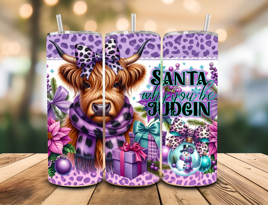 SUBLIMATION TRANSFER Santa why you be judgin (20oz)